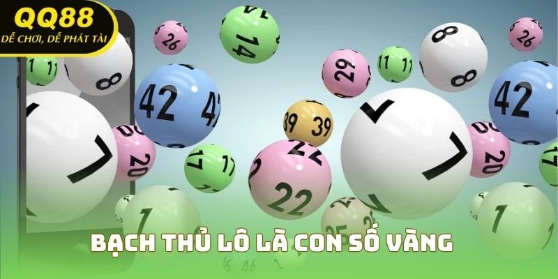 Bạch thủ lô là con số vàng của may mắn