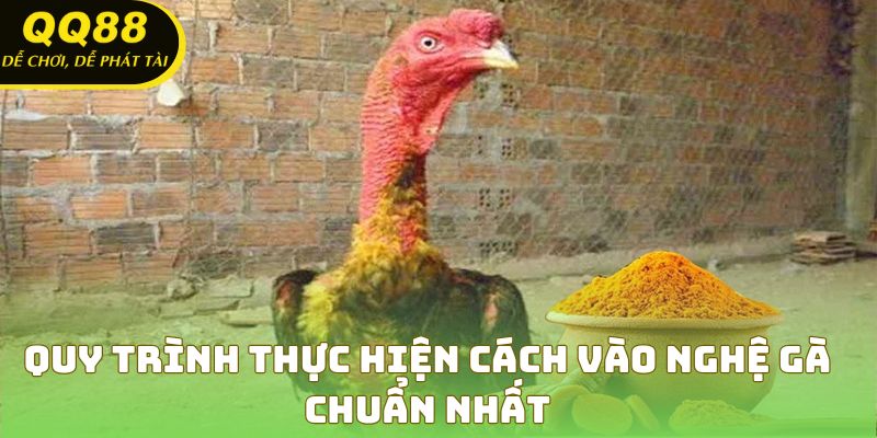 Chi tiết các bước thực hiện cách vào nghệ gà chuyên nghiệp