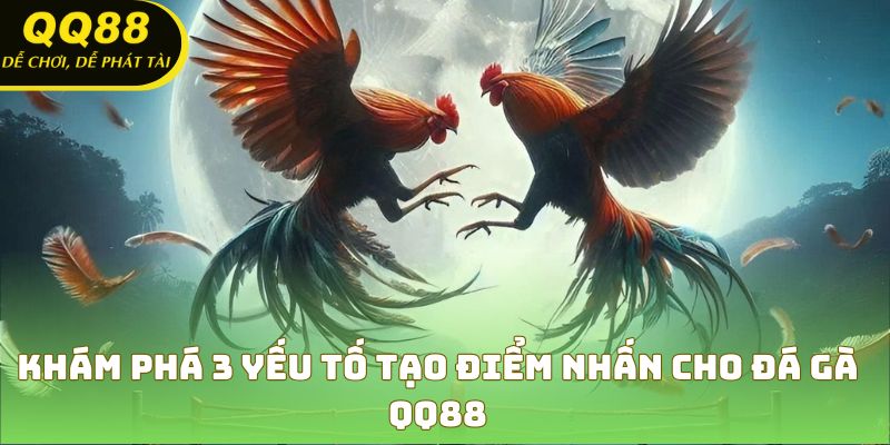 Điểm đặc biệt tạo nên sức hút của đá gà QQ88