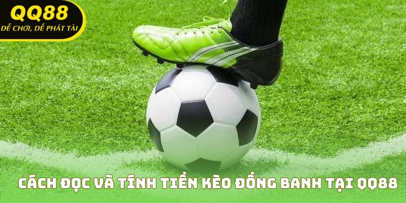 Hướng dẫn đọc và tính tiền kèo đồng banh tại QQ88